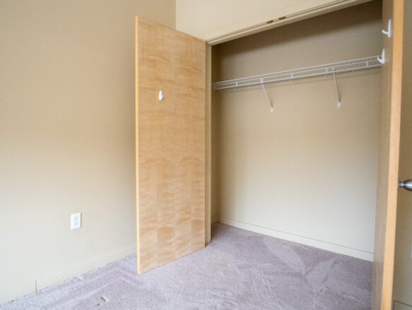 Cayuga Place Sample Closet Design