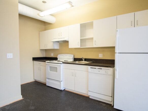 Cayuga Place Sample Kitchen Area Design