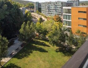 Cayuga Place Aerial View of Park/Leisure Area